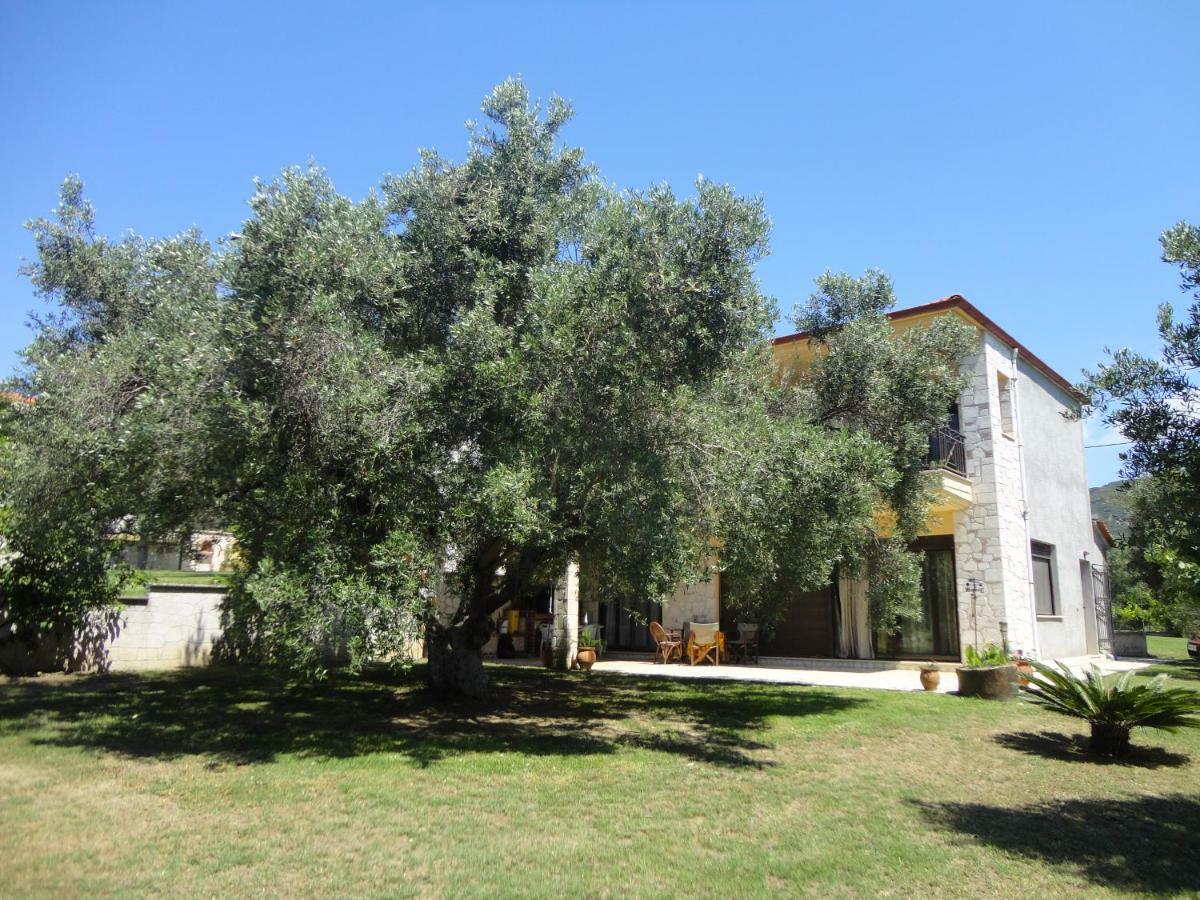 Holiday Villa Vee Νέα Σκιώνη Εξωτερικό φωτογραφία