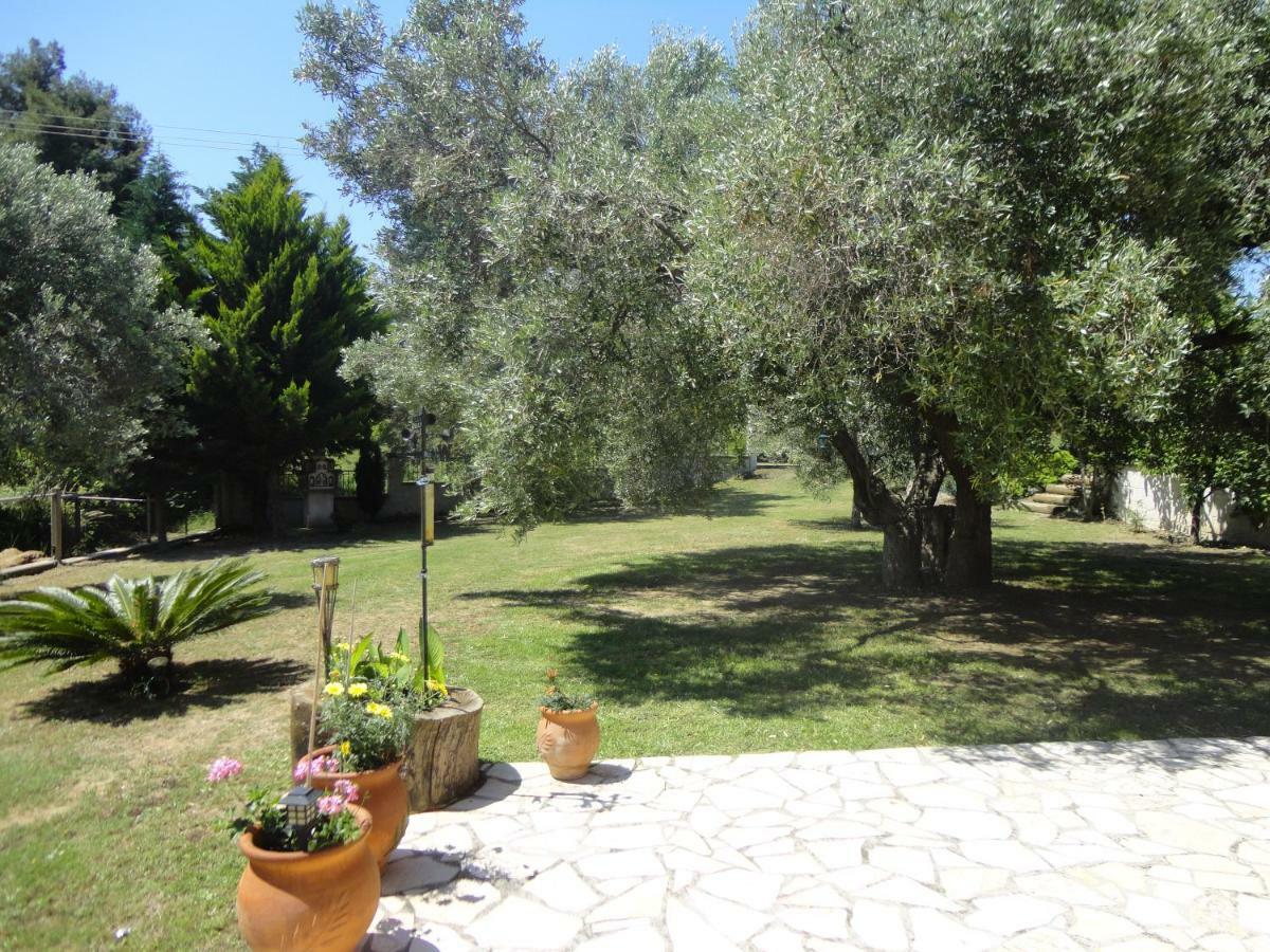 Holiday Villa Vee Νέα Σκιώνη Εξωτερικό φωτογραφία